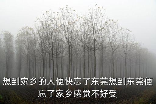 想到家鄉(xiāng)的人便快忘了東莞想到東莞便忘了家鄉(xiāng)感覺不好受