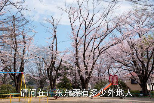 請問在廣東東莞有多少外地人
