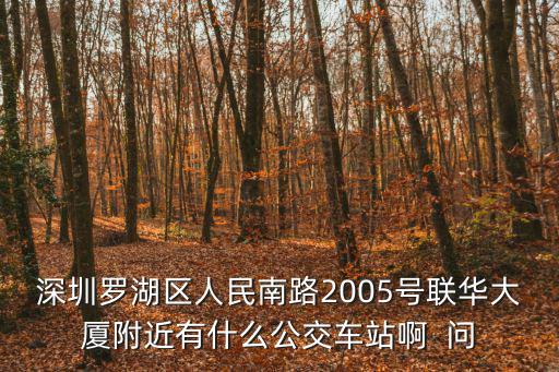 深圳羅湖區(qū)人民南路2005號聯(lián)華大廈附近有什么公交車站啊  問
