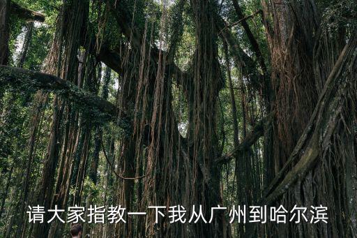 請大家指教一下我從廣州到哈爾濱