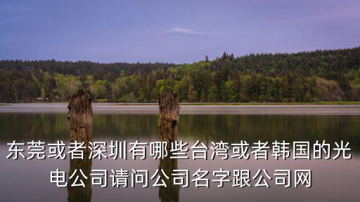 東莞或者深圳有哪些臺(tái)灣或者韓國的光電公司請問公司名字跟公司網(wǎng)