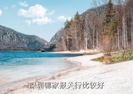 深圳報關行，深圳哪家報關行比較好