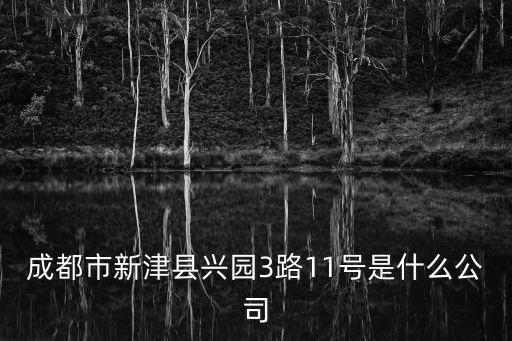 成都市新津縣興園3路11號是什么公司