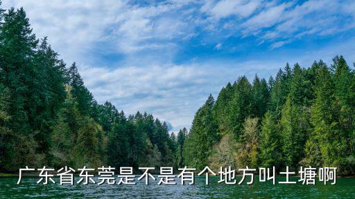 廣東省東莞是不是有個地方叫土塘啊