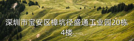 深圳市寶安區樟坑徑盛通工業園20棟4樓