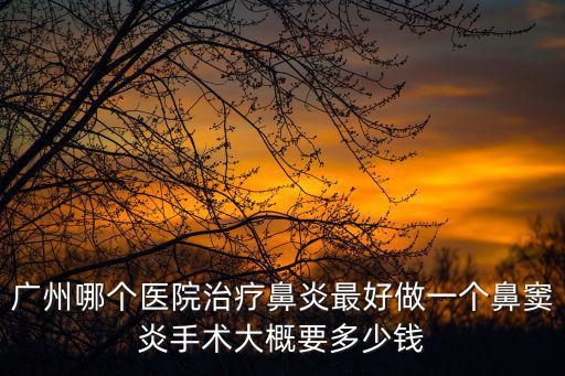 廣州哪個醫院治療鼻炎最好做一個鼻竇炎手術大概要多少錢