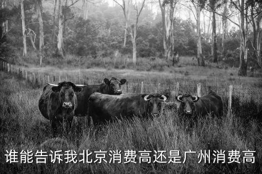 誰能告訴我北京消費高還是廣州消費高