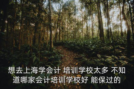 上海市會計學會 喬元芳，上海哪里學會計好