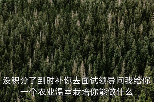 沒(méi)積分了到時(shí)補(bǔ)你去面試領(lǐng)導(dǎo)問(wèn)我給你一個(gè)農(nóng)業(yè)溫室栽培你能做什么