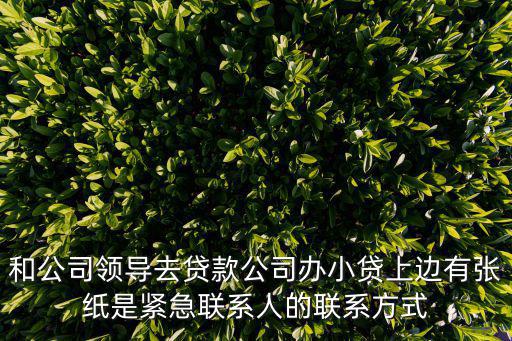 和公司領(lǐng)導(dǎo)去貸款公司辦小貸上邊有張紙是緊急聯(lián)系人的聯(lián)系方式