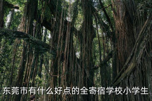 東莞寄宿中學，東莞市有什么好點的全寄宿學校小學生