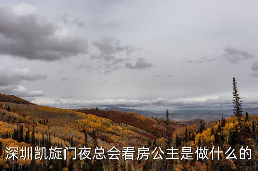深圳看房，深圳凱旋門夜總會看房公主是做什么的