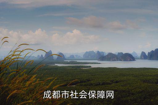 成都市社會保障網(wǎng)