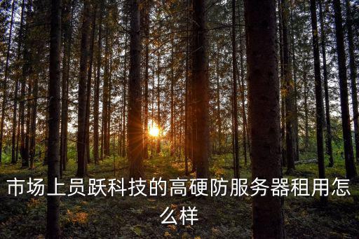 市場上員躍科技的高硬防服務(wù)器租用怎么樣