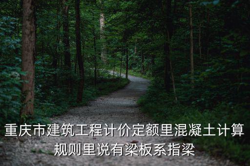 重慶市結構板計容，在重慶08定額中什么構件需要套有梁板具體依據是什么