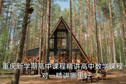 重慶市高中精品課程，重慶新學期高中課程精講高中數學課程一對一精講哪里好