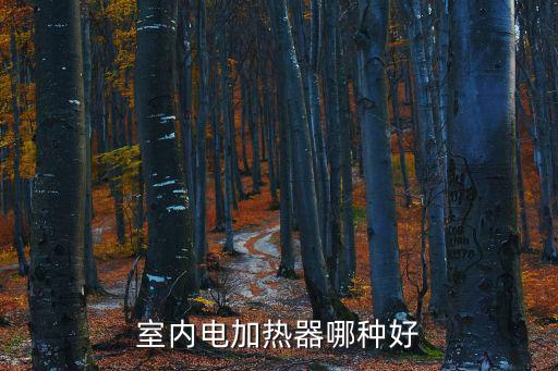 東莞冠亨，DGIT 是什么公司