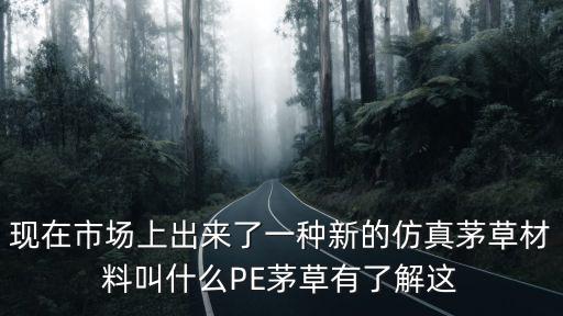 現(xiàn)在市場上出來了一種新的仿真茅草材料叫什么PE茅草有了解這