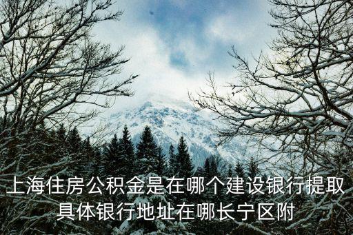 上海市長寧區劍河路二手房，上海的朋友告訴我一下上海市長寧區劍河路653號是什么店鋪是買什