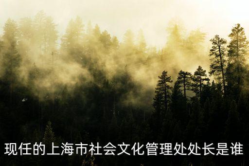 現任上海市文化局局長，上海市文化局局長是誰