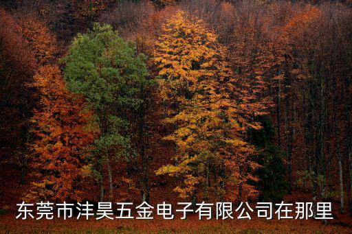 東莞市灃昊五金電子有限公司在那里