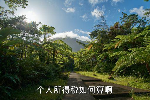 個(gè)人所得稅如何算啊