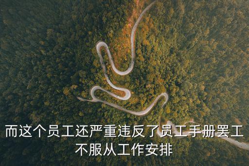 而這個(gè)員工還嚴(yán)重違反了員工手冊罷工不服從工作安排