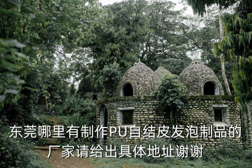 東莞哪里有制作PU自結皮發泡制品的廠家請給出具體地址謝謝