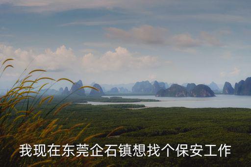 東莞企石 新塘老圍 出租，東莞企石有手工活加工么