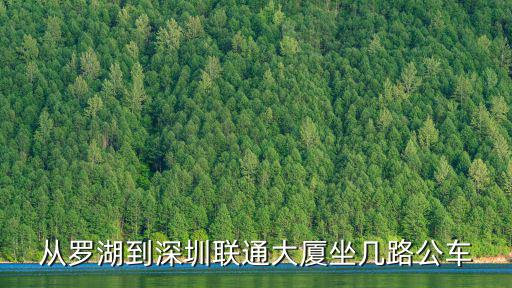 從羅湖到深圳聯(lián)通大廈坐幾路公車