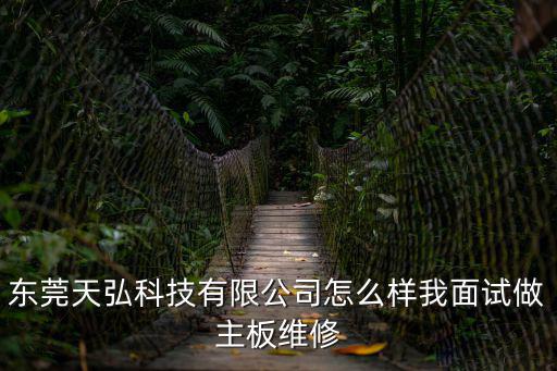 天弘東莞科技有限公司怎么樣，天弘東莞科技公司怎么樣技術員底薪大概多少一個月工資大概多少