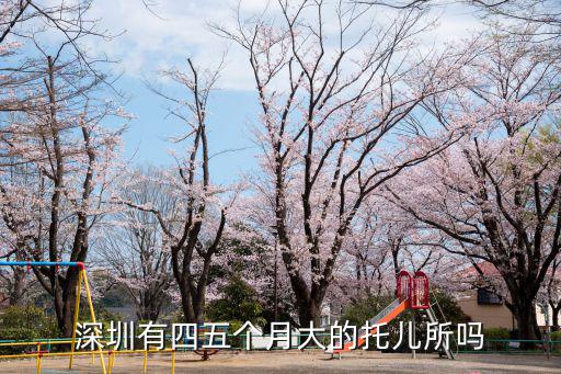 深圳有四五個月大的托兒所嗎