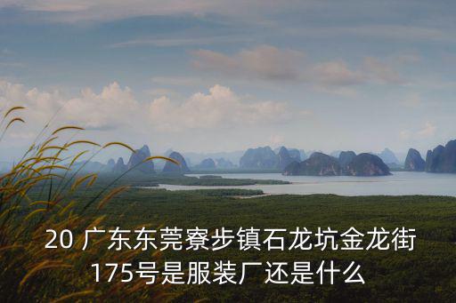  20 廣東東莞寮步鎮石龍坑金龍街175號是服裝廠還是什么