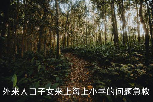 外來人口子女來上海上小學的問題急救