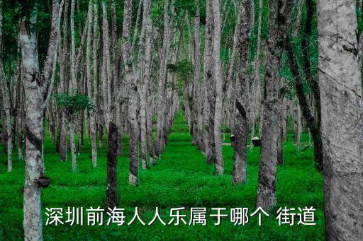 深圳前海人人樂屬于哪個 街道