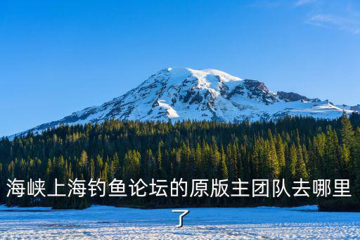 上海市釣魚百姓論壇，海峽上海釣魚論壇的原版主團隊去哪里了