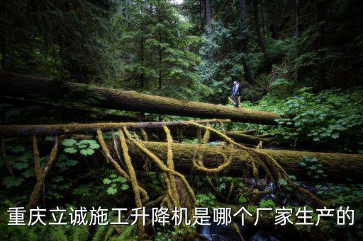 重慶立誠施工升降機是哪個廠家生產(chǎn)的