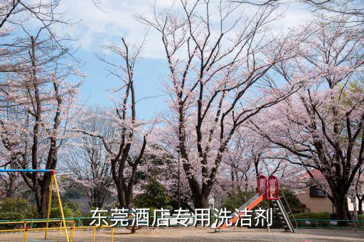 東莞酒店專用洗潔劑