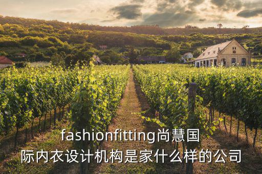 廣州卓澳盛時裝有限公司，fashionfitting尚慧國際內衣設計機構是家什么樣的公司