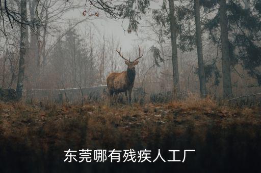 東莞方泰光電有限公司，東莞哪有殘疾人工廠