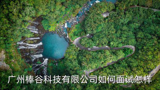 廣州棒谷科技有限公司如何面試怎樣
