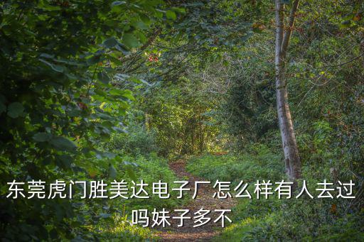 東莞妹妹門，東莞虎門勝美達電子廠怎么樣有人去過嗎妹子多不