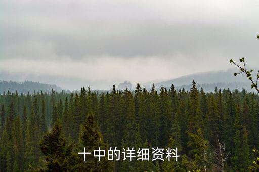 十中的詳細資料