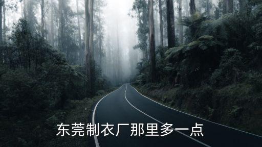 東莞制衣廠那里多一點(diǎn)