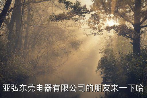 亞弘東莞電器有限公司的朋友來一下哈