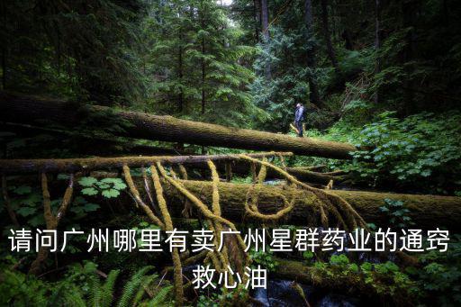 請問廣州哪里有賣廣州星群藥業(yè)的通竅救心油