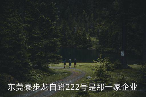 東莞寮步龍自路222號是那一家企業