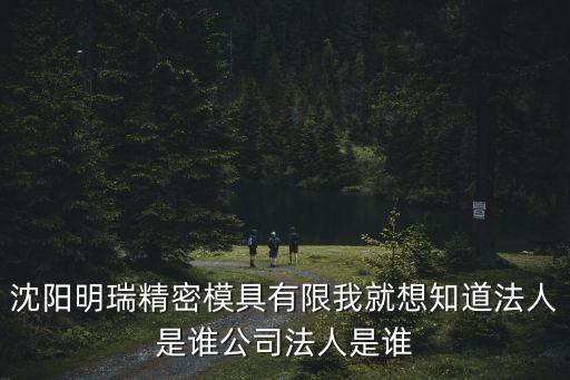 沈陽明瑞精密模具有限我就想知道法人是誰公司法人是誰