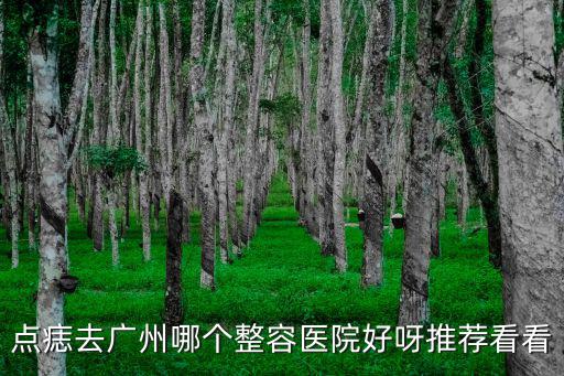 點痣去廣州哪個整容醫院好呀推薦看看