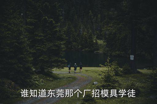 誰(shuí)知道東莞那個(gè)廠招模具學(xué)徒